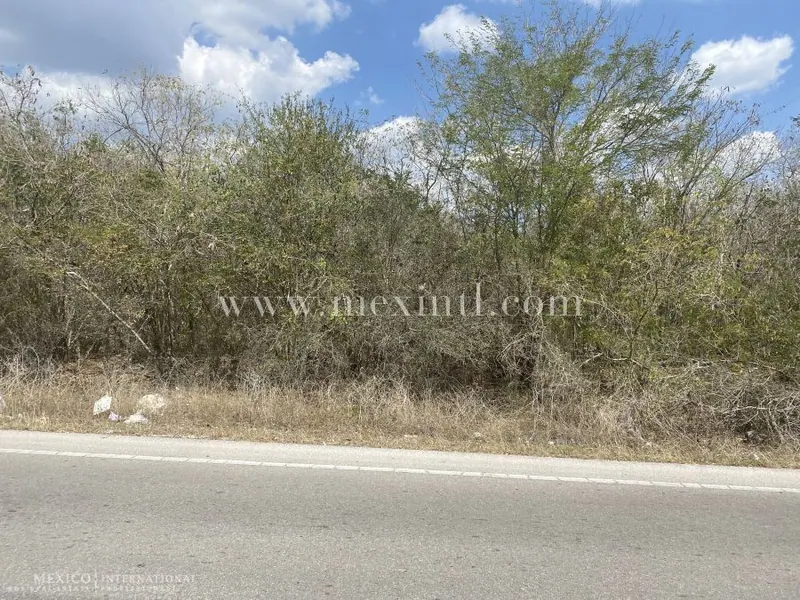 20,000 Sq Mtrs @ Polo Club – Komchen Land — land & lot in Greater Mérida — photograph 2