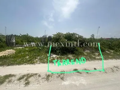 San Bruno Huge Beach Lot — beach property in Yucatán Beach — photograph 3