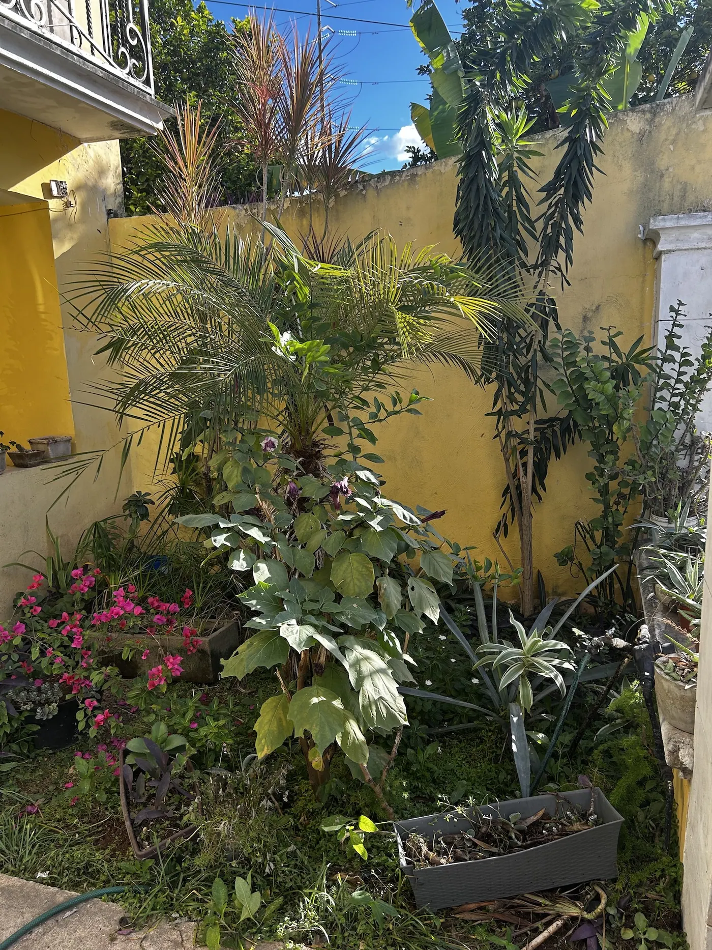 2 Bed/1 Bath Merida Centro — residential home in Mérida Centro — photograph 2