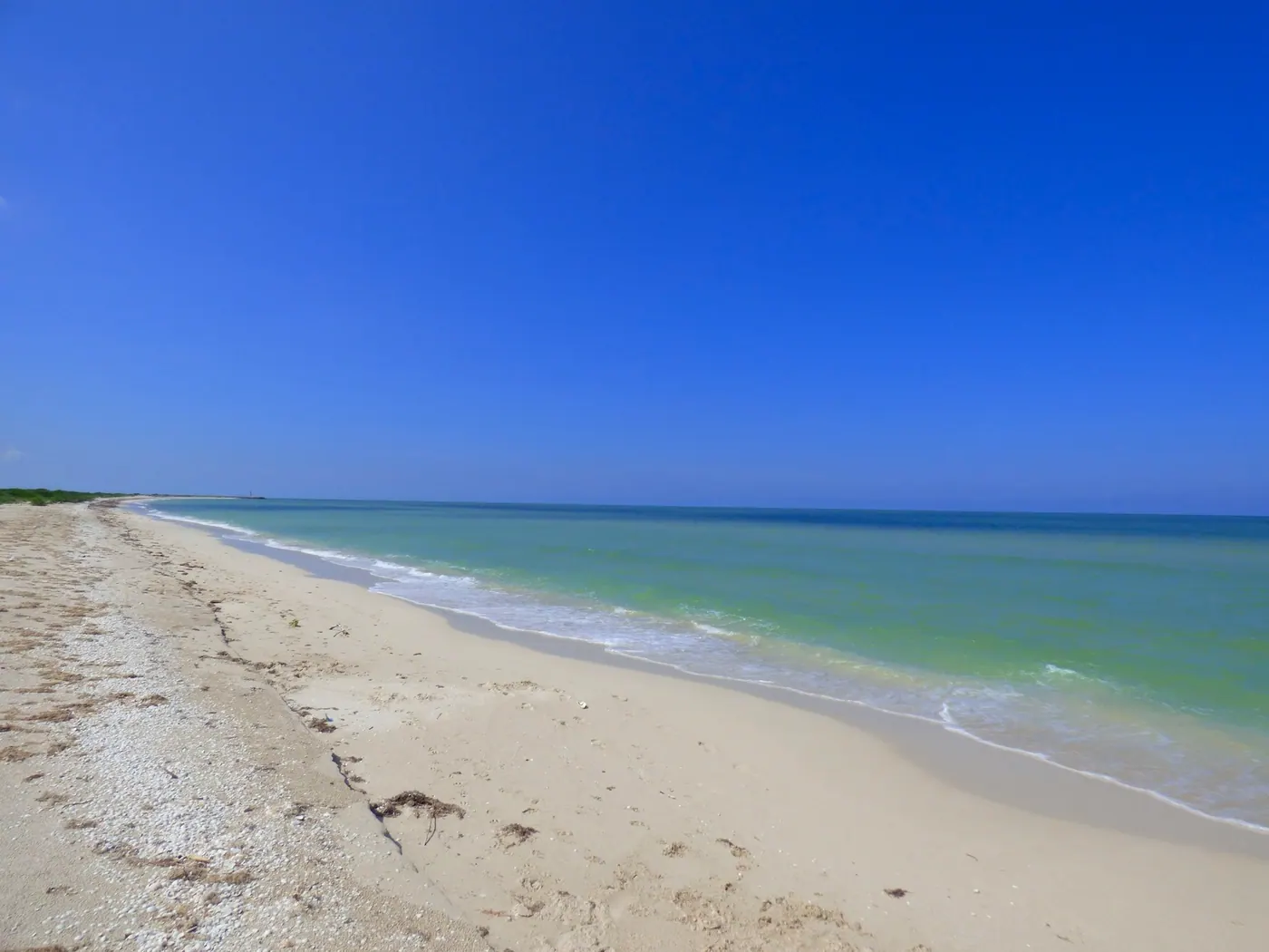 Fabulous Deep Chuburna Beach Lot — beach property for sale in Yucatán Beach