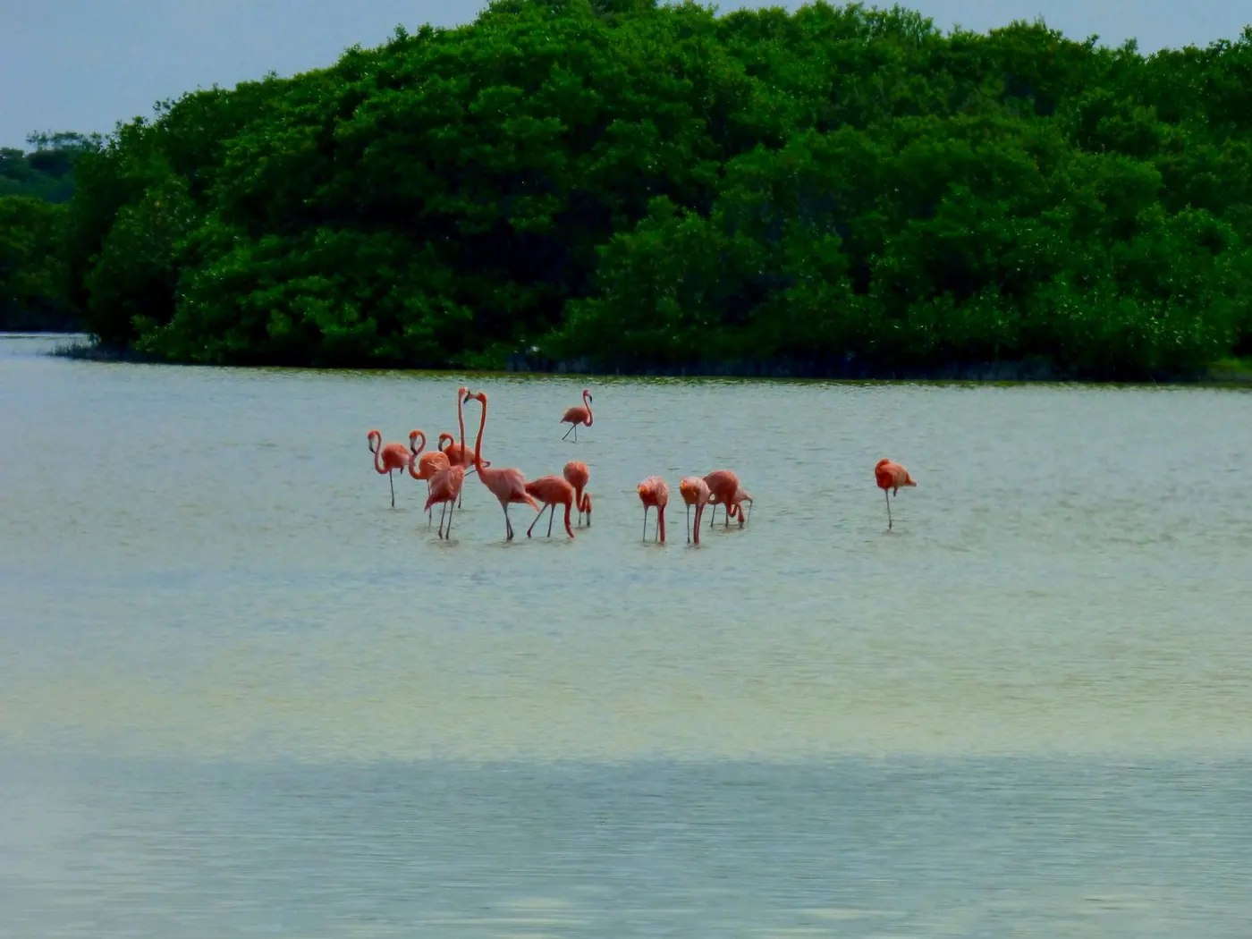 Fabulous Deep Chuburna Beach Lot — beach property in Yucatán Beach — photograph 3