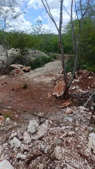 15,897 Sq.Ft. Lot in Timucuy (Tekik) Yucatan — land & lot in Outside Mérida — photograph 3