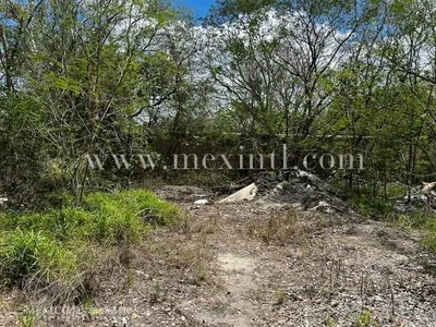 3954 Sq Mtrs Xcanatun – 42,560.50 Sq Ft — land & lot in Outside Mérida — photograph 2