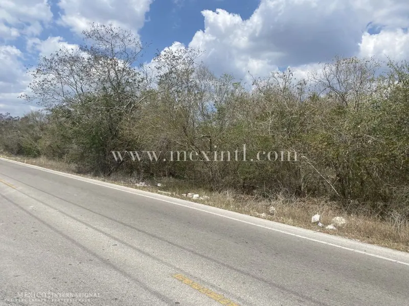 20,000 Sq Mtrs @ Polo Club – Komchen Land — land & lot in Greater Mérida — photograph 3