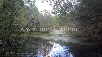 1191 Acre Farm/ranch In San Pedro, Tekax, Yucatan — residential home for sale in Outside Mérida