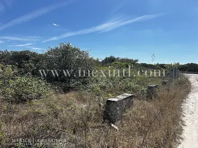 Huge San Benito Beach Lots!!! — beach property in Yucatán Beach — photograph 3