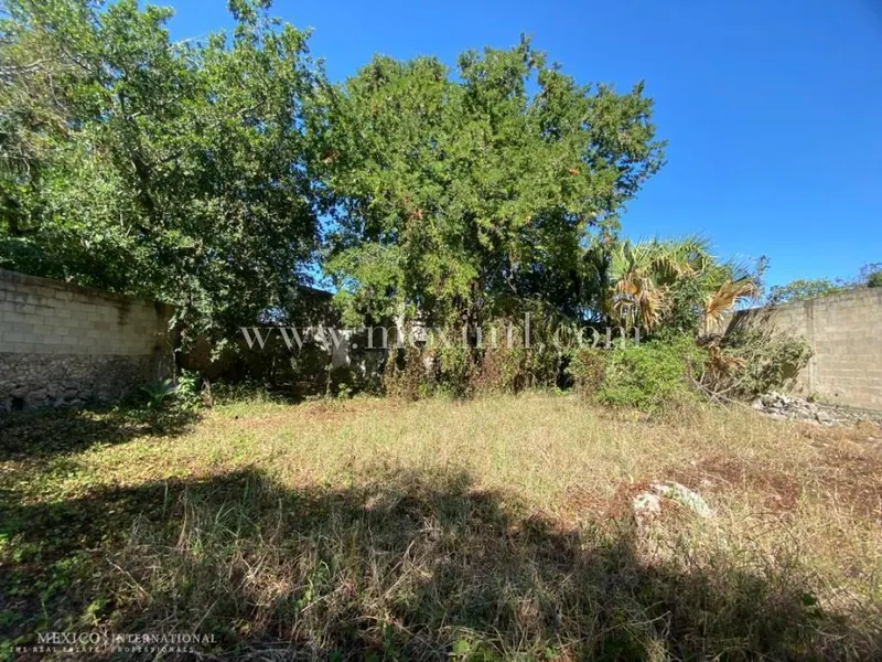 Colonial Dream — colonial home in Mérida Centro — photograph 2