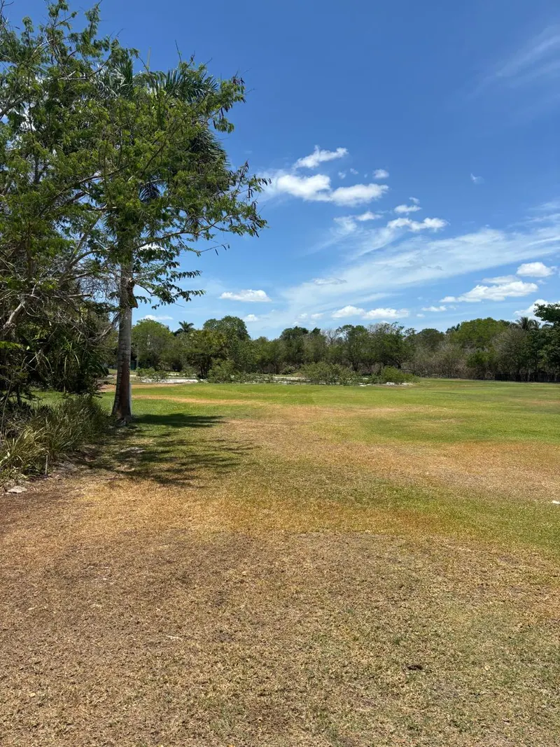 Amazing Residential Lot In La Ceiba — land & lot in Outside Mérida — photograph 3