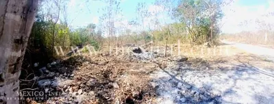 Huge Lot – Merida Northside — land & lot in Greater Mérida — photograph 3