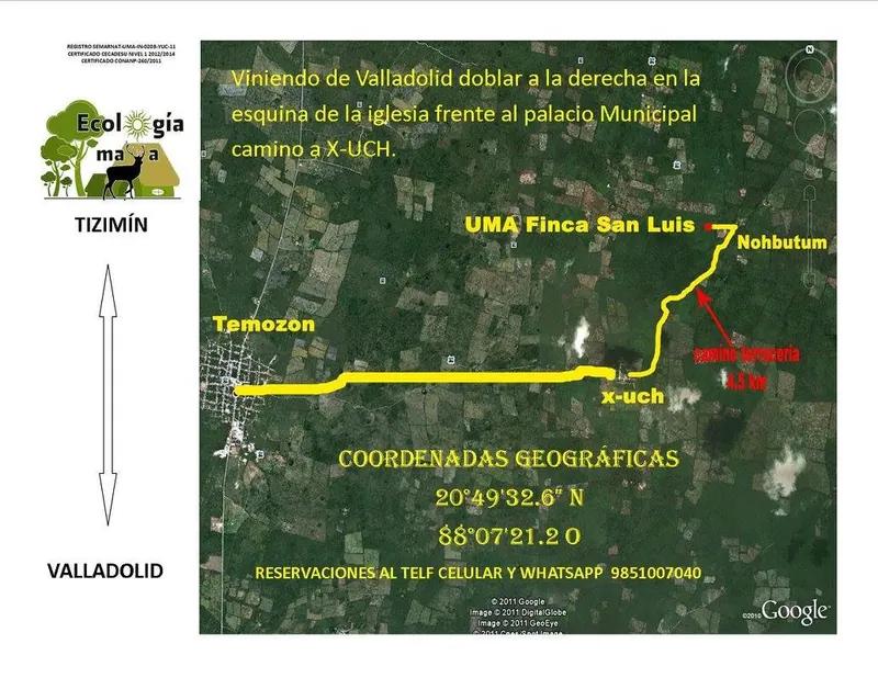 110 Acres ECO Resort Development Land near Valladolid, Yucatan I Wellness Retreat & Investment Opportunity — land & lot in Outside Mérida — photograph 3