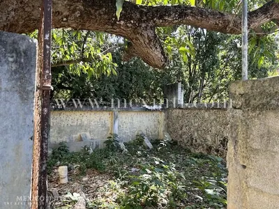 Huge Santiago Lot & Colonial — colonial home in Mérida Centro — photograph 3