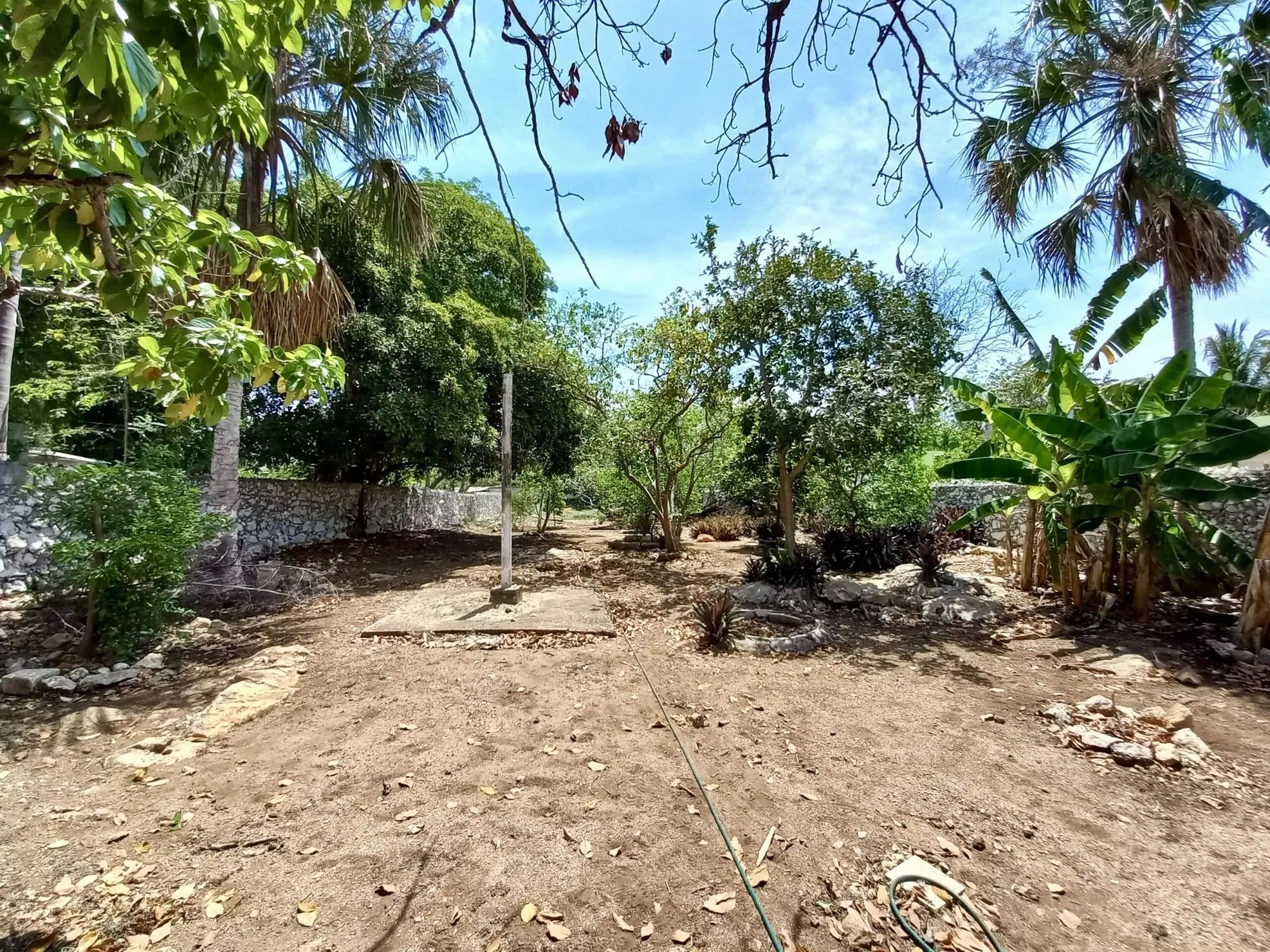 Quiet Property With Expansive Land In Ermita — colonial home in Mérida Centro — photograph 2