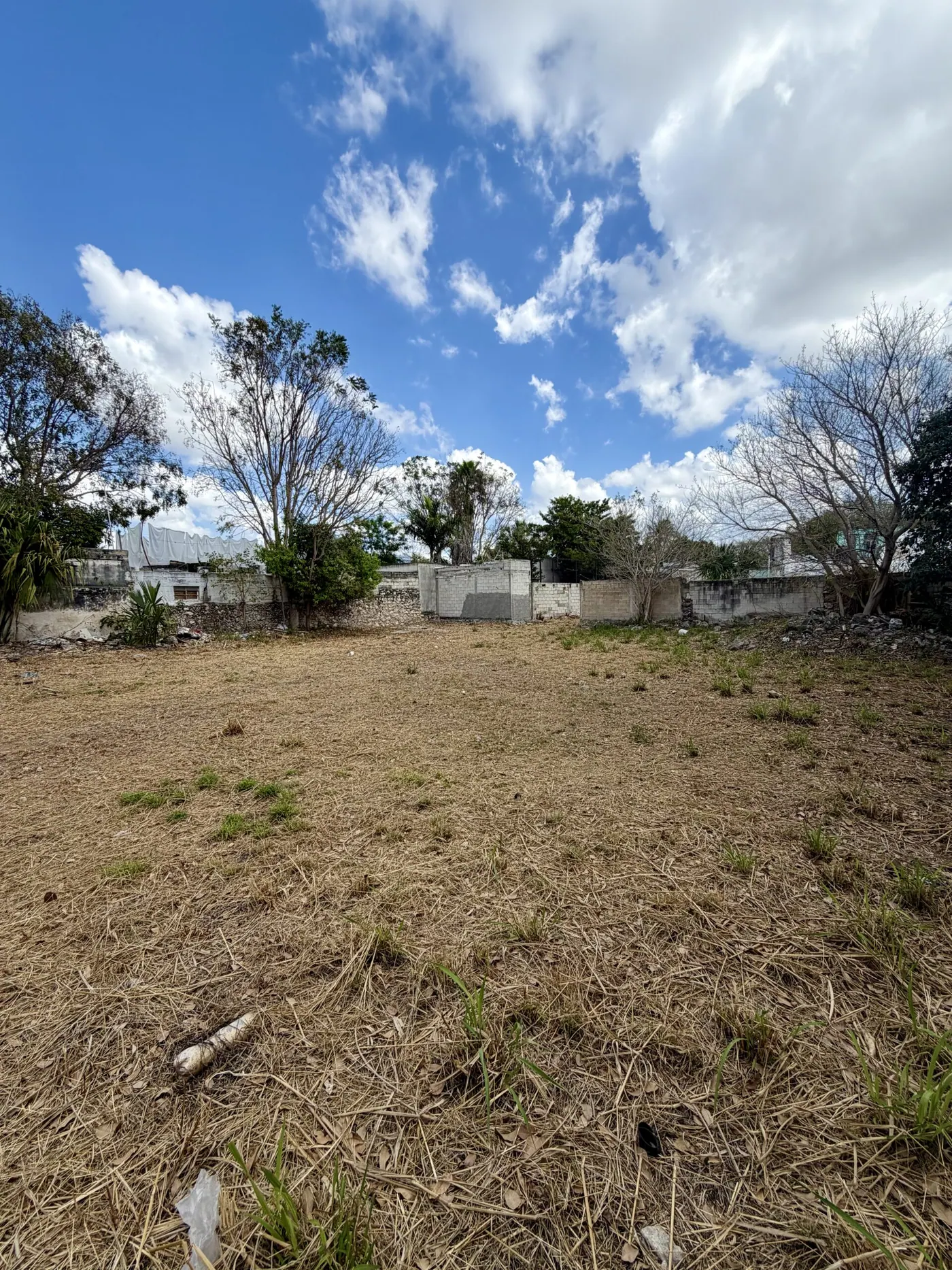 Expansive Centro Lot – Block-to-Block Opportunity — colonial home in Mérida Centro — photograph 3