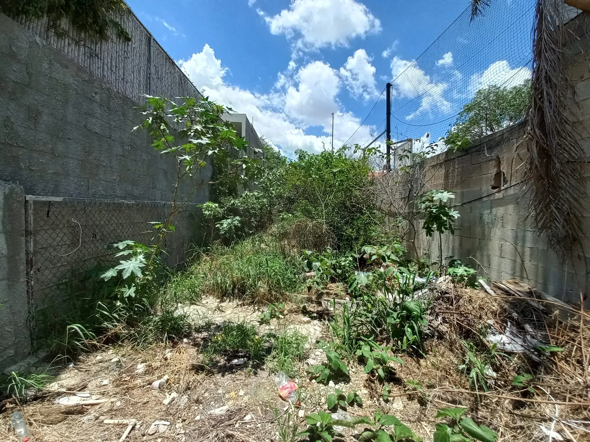Fixer Upper With Great Potential — residential home in Mérida Centro — photograph 2