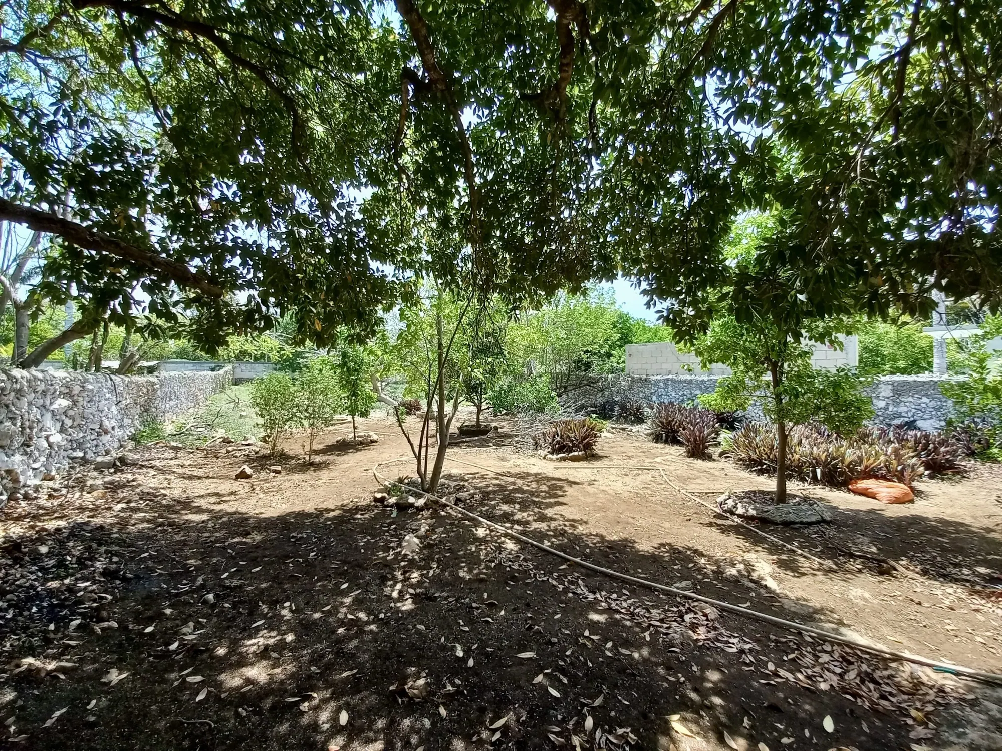 Quiet Property With Expansive Land In Ermita — colonial home in Mérida Centro — photograph 3