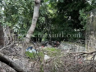 Huge Centro Property With 3 Houses Huge Reduction! — residential home in Mérida Centro — photograph 2
