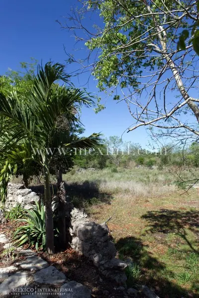 Unique Development Opportunity On 50 Hectares Of Established Hacienda Land — land & lot in Outside Mérida — photograph 2