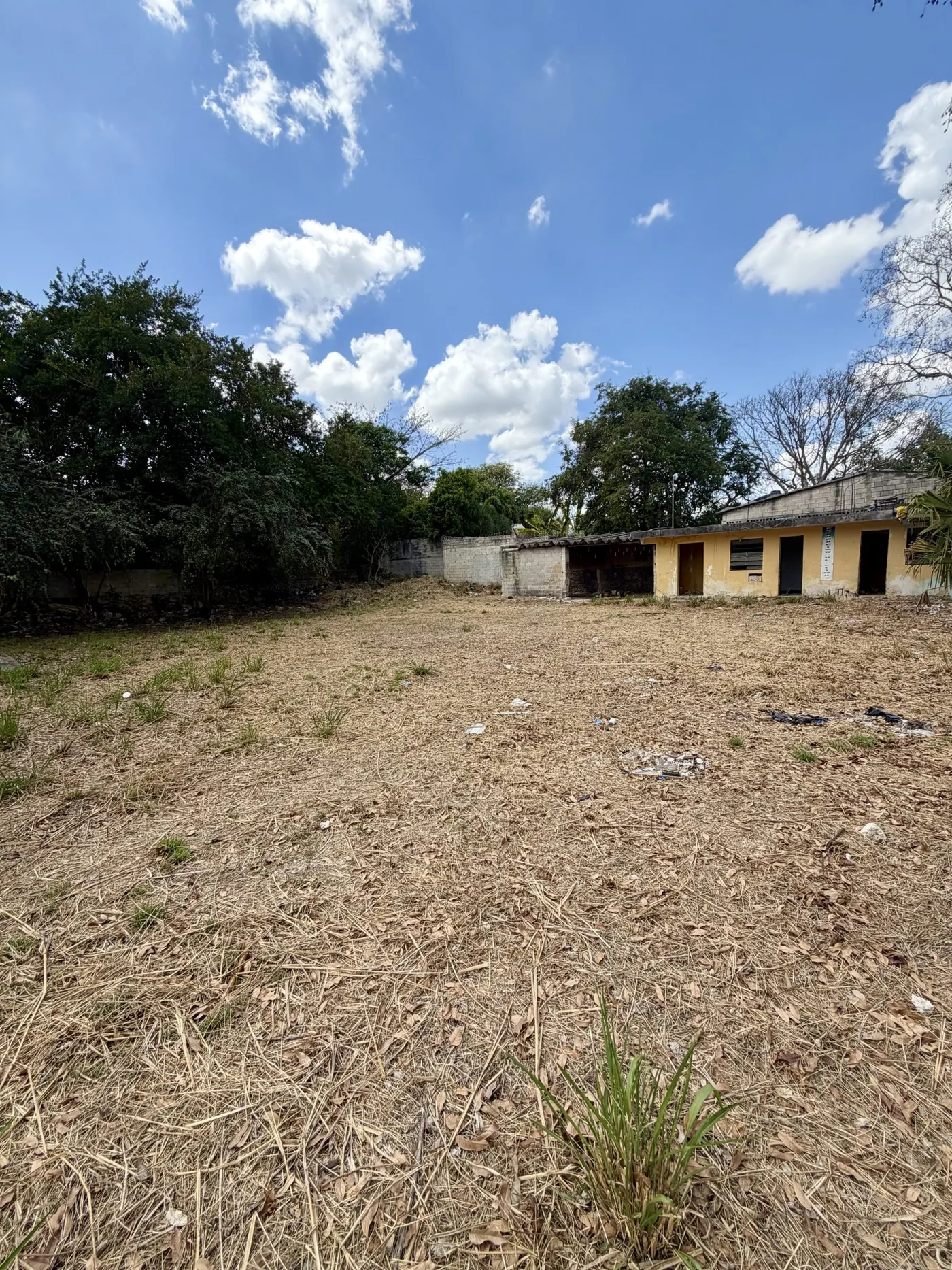Expansive Centro Lot – Block-to-Block Opportunity — colonial home in Mérida Centro — photograph 2