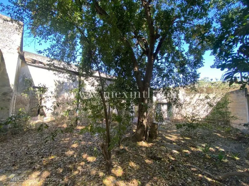 Colonial Dream — colonial home in Mérida Centro — photograph 3