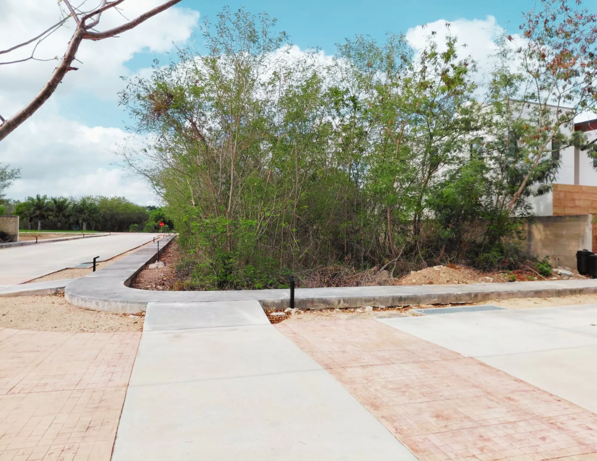 La Reserva: Ready-to-Build Lot 10 Min to Beach / Terreno Listo para Construir Cerca del Mar — land & lot in North Mérida — photograph 2