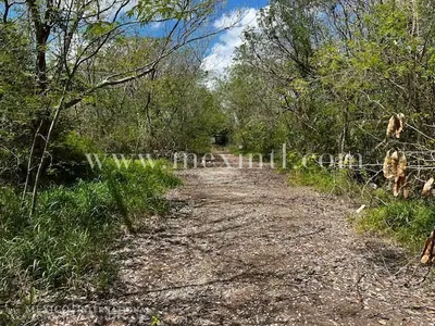 3954 Sq Mtrs Xcanatun – 42,560.50 Sq Ft — land & lot for sale in Outside Mérida