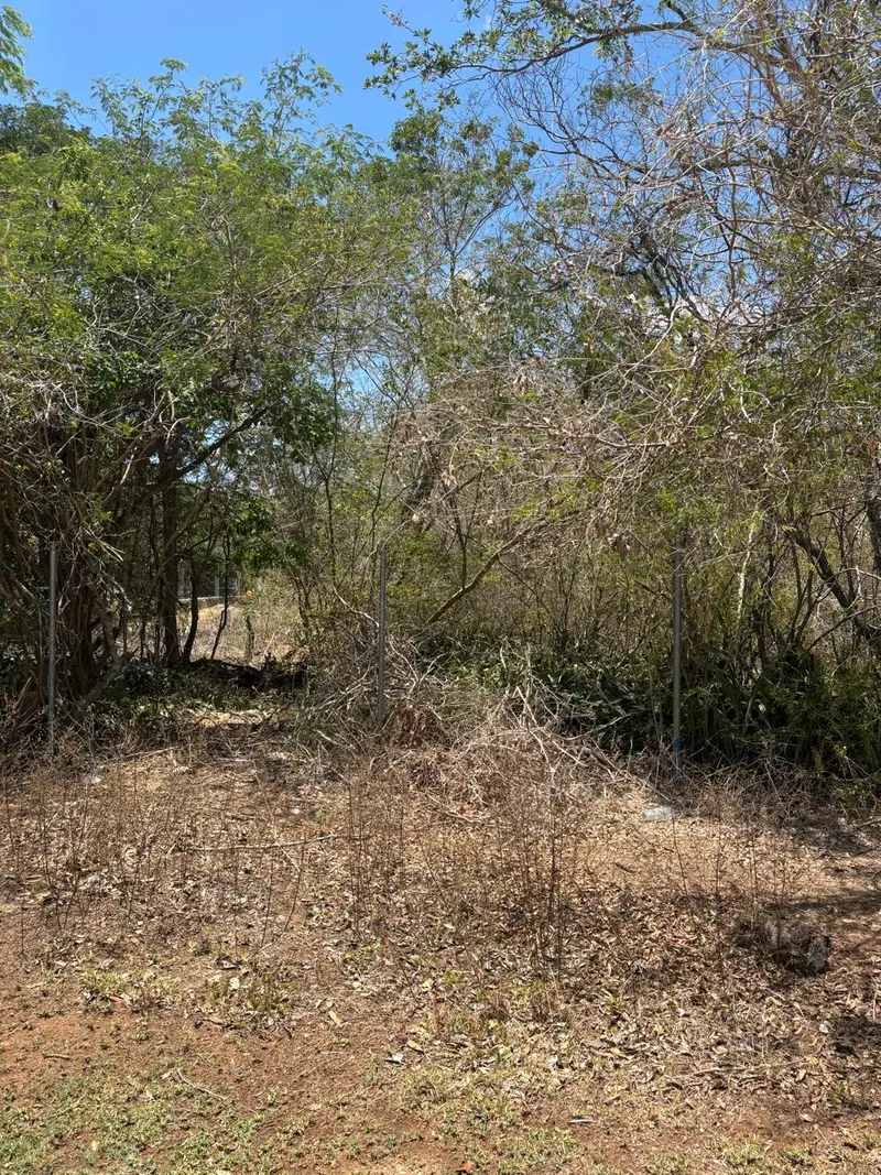 Amazing Residential Lot In La Ceiba — land & lot in Outside Mérida — photograph 2