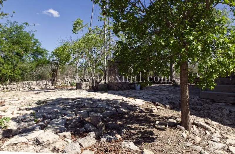 Unique Development Opportunity On 50 Hectares Of Established Hacienda Land — land & lot in Outside Mérida — photograph 3