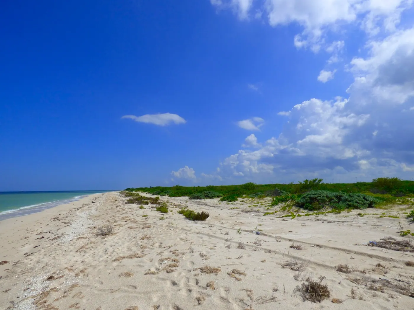 Fabulous Deep Chuburna Beach Lot — beach property in Yucatán Beach — photograph 2