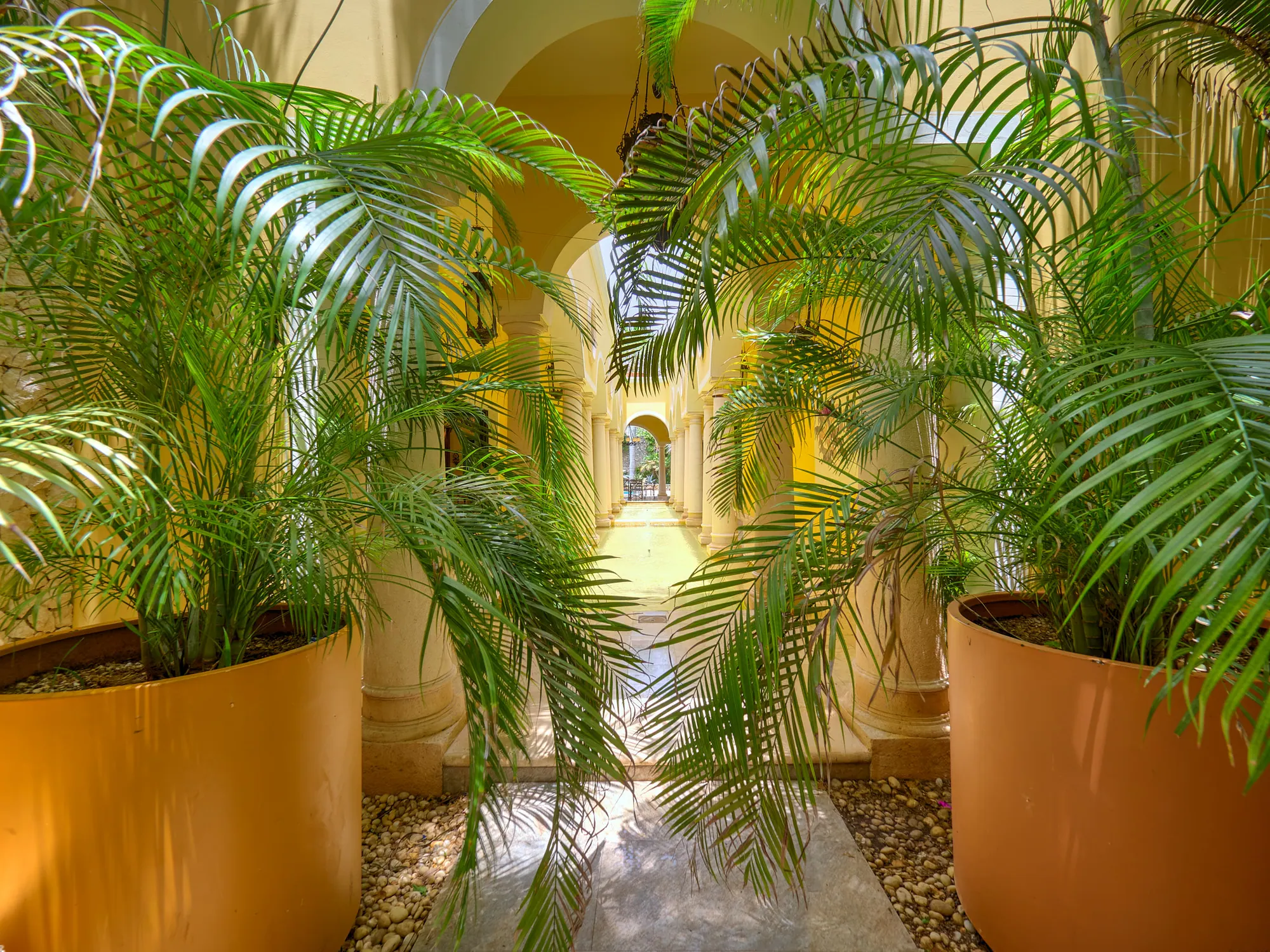Stunning Colonial Palace — colonial home in Mérida Centro — photograph 3