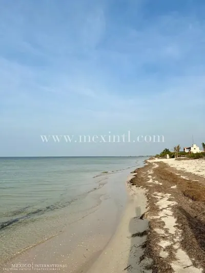 Fabulous San Crisanto Beachfront Lots — beach property for sale in Yucatán Beach