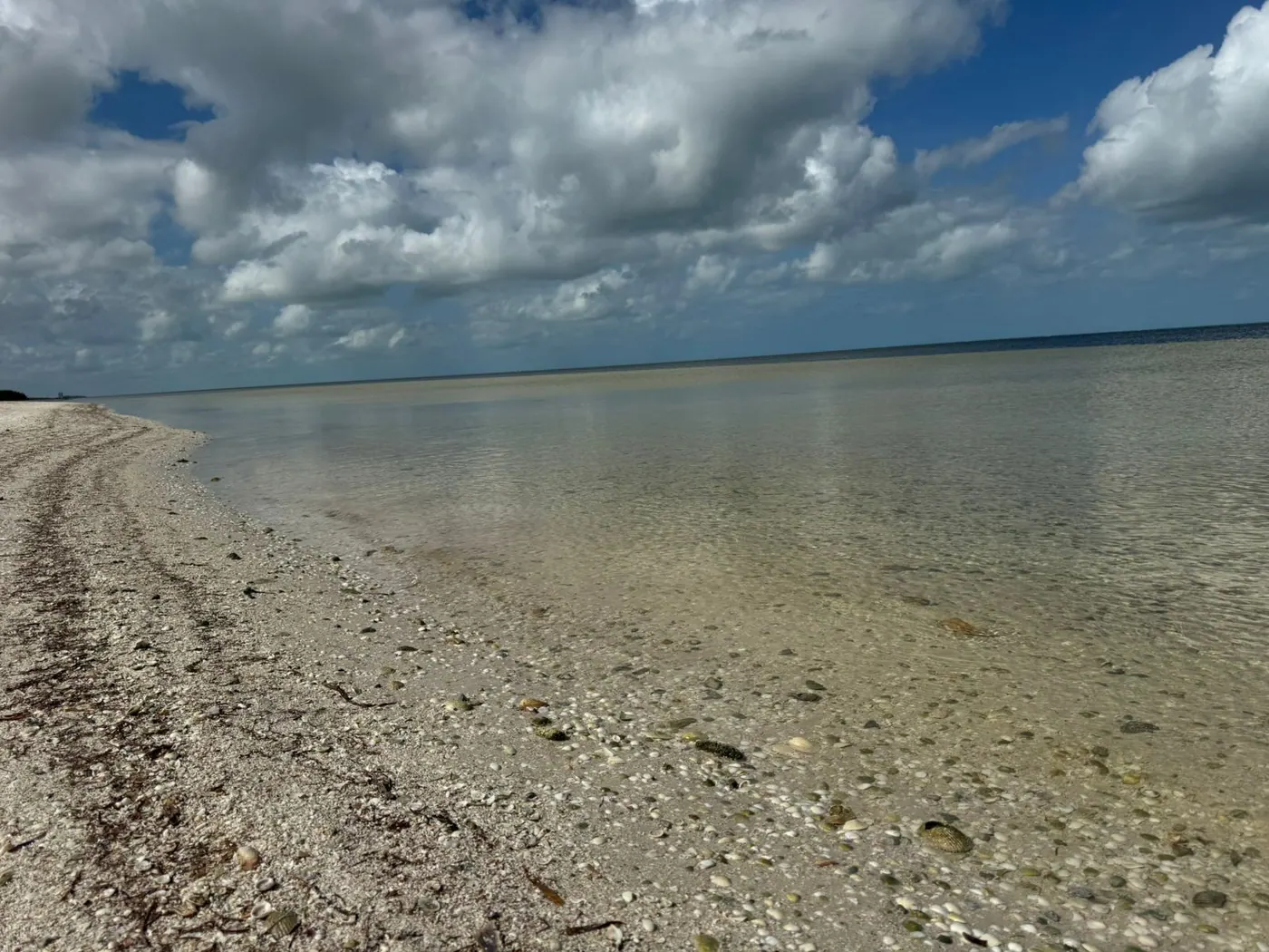 Santa Clara | Beachfront Lots | Private Property | Ready to Build — beach property in Yucatán Beach — photograph 2