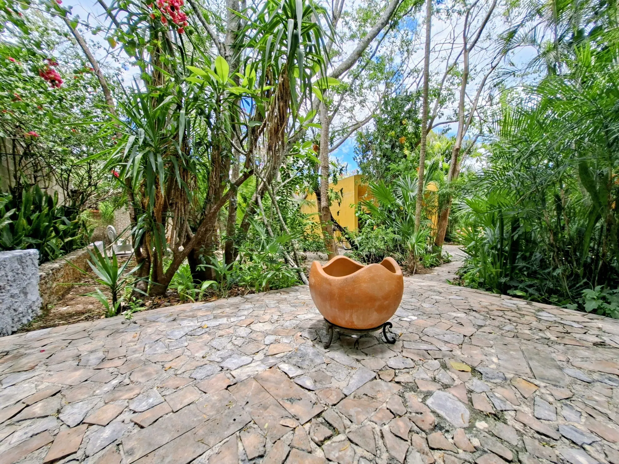 Private Tropical Estate with Guesthouse, Pool & Rooftop Terrace in Northern Mérida, Yucatán — residential home in North Mérida — photograph 3