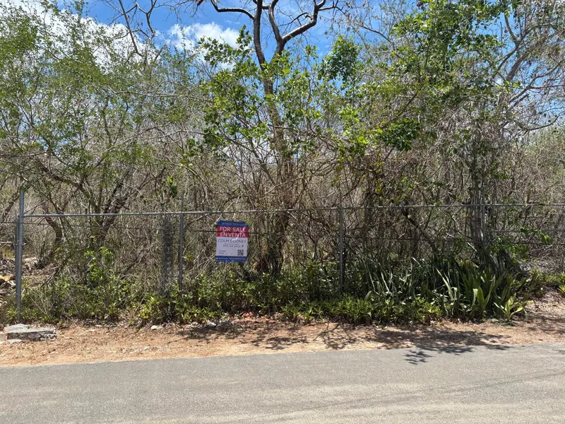 Amazing Residential Lot In La Ceiba — land & lot for sale in Outside Mérida
