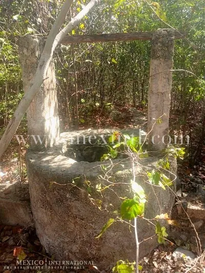 Huge Lot – Merida Northside — land & lot for sale in Greater Mérida