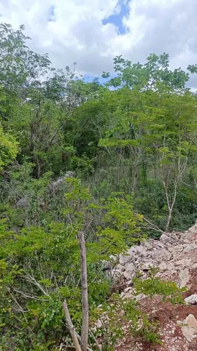 15,897 Sq.Ft. Lot in Timucuy (Tekik) Yucatan — land & lot for sale in Outside Mérida